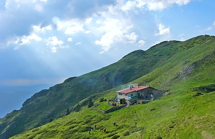 ���� ��� 